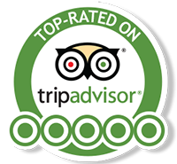 TRIP ADVISOR 
